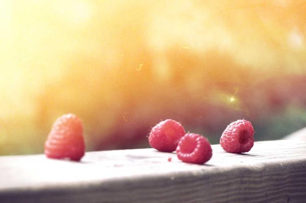 Eos odio dicta saepe reprehenderit